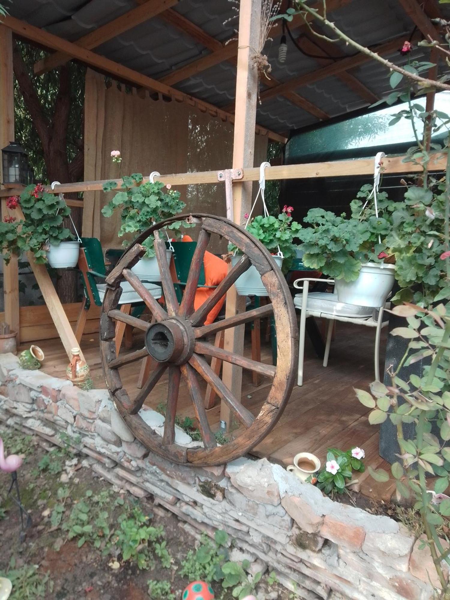 Casa Mocanu Τζιούρτζιου Εξωτερικό φωτογραφία