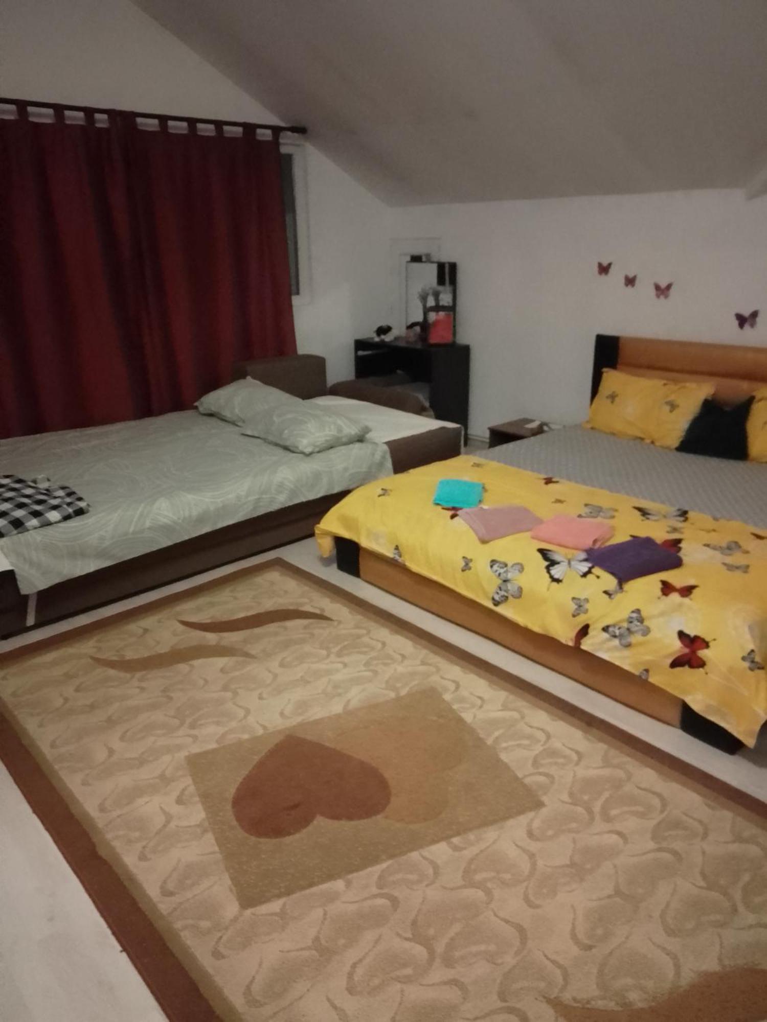 Casa Mocanu Τζιούρτζιου Εξωτερικό φωτογραφία